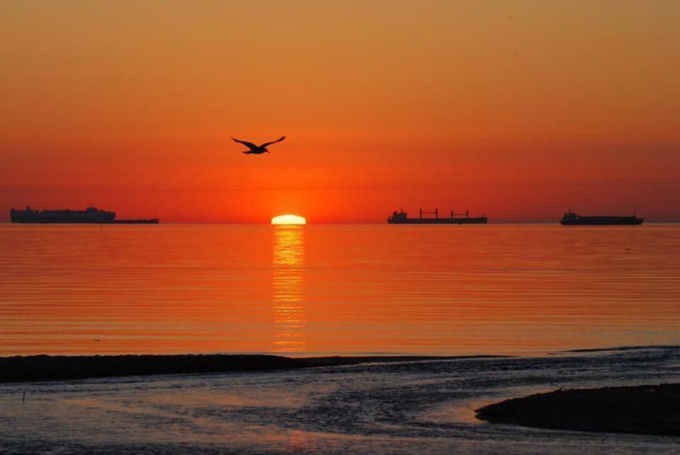 Apartamenty Sun&Sea Danzica Esterno foto